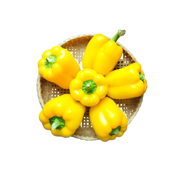 黄パプリカ 2-3個 (コンポンスプー)