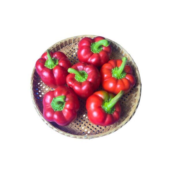 赤パプリカ 2-3個 (コンポンスプー)