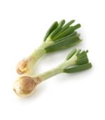 葉付き新玉ねぎ(白)500g (4-5pcs) (バンテイメンチェイ)