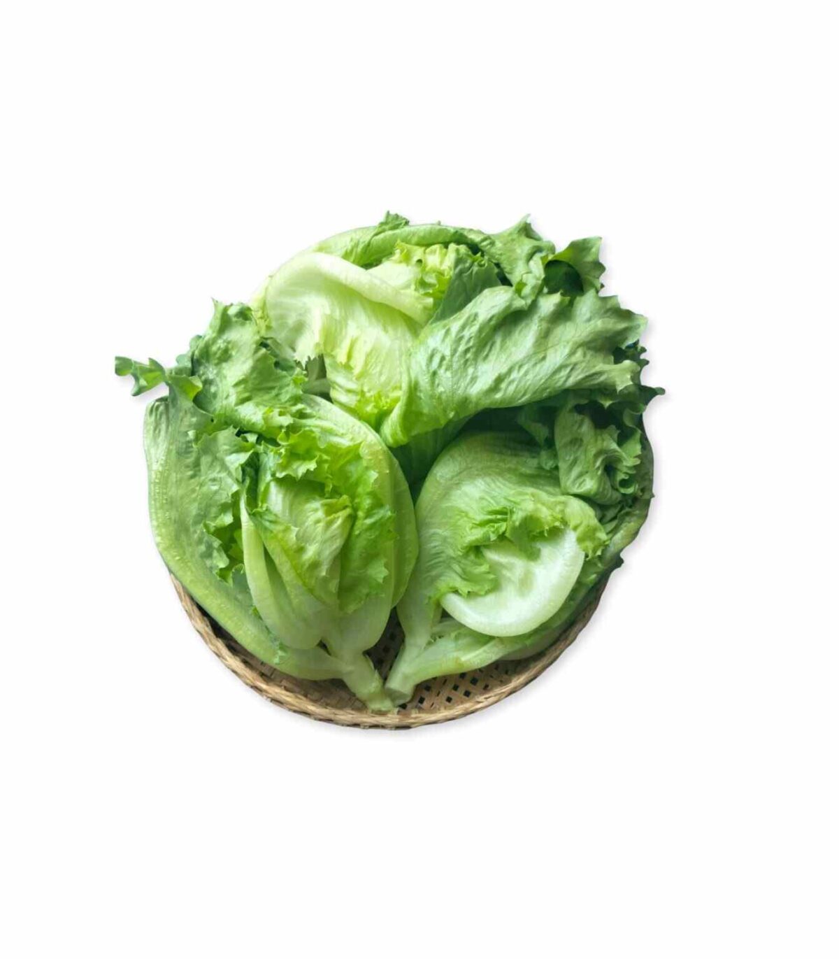 アイスバーグレタス 300g (カンダール) - 画像 (1)