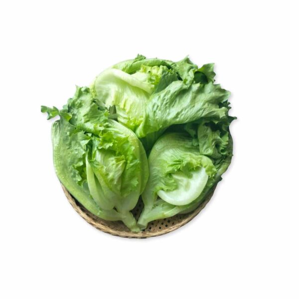アイスバーグレタス 300g (カンダール)