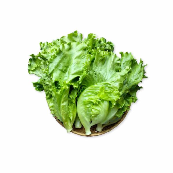 バタビアレタス 200g (カンダール)