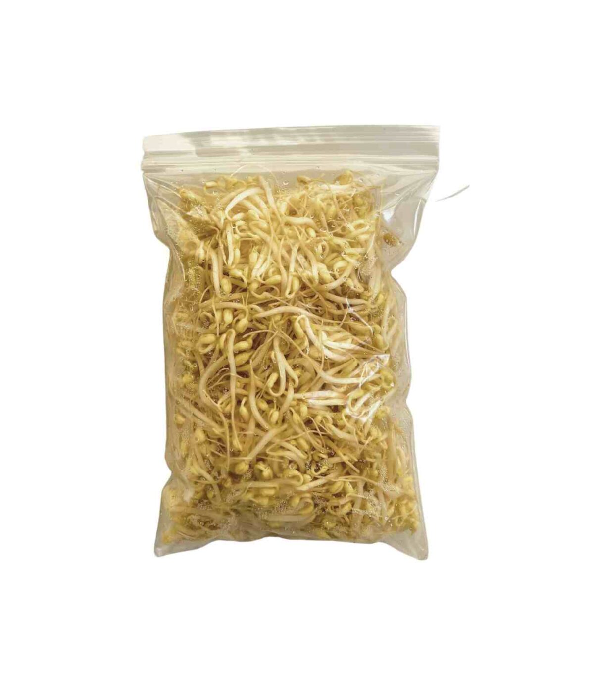 もやし 250g (プノンペン) - 画像 (1)