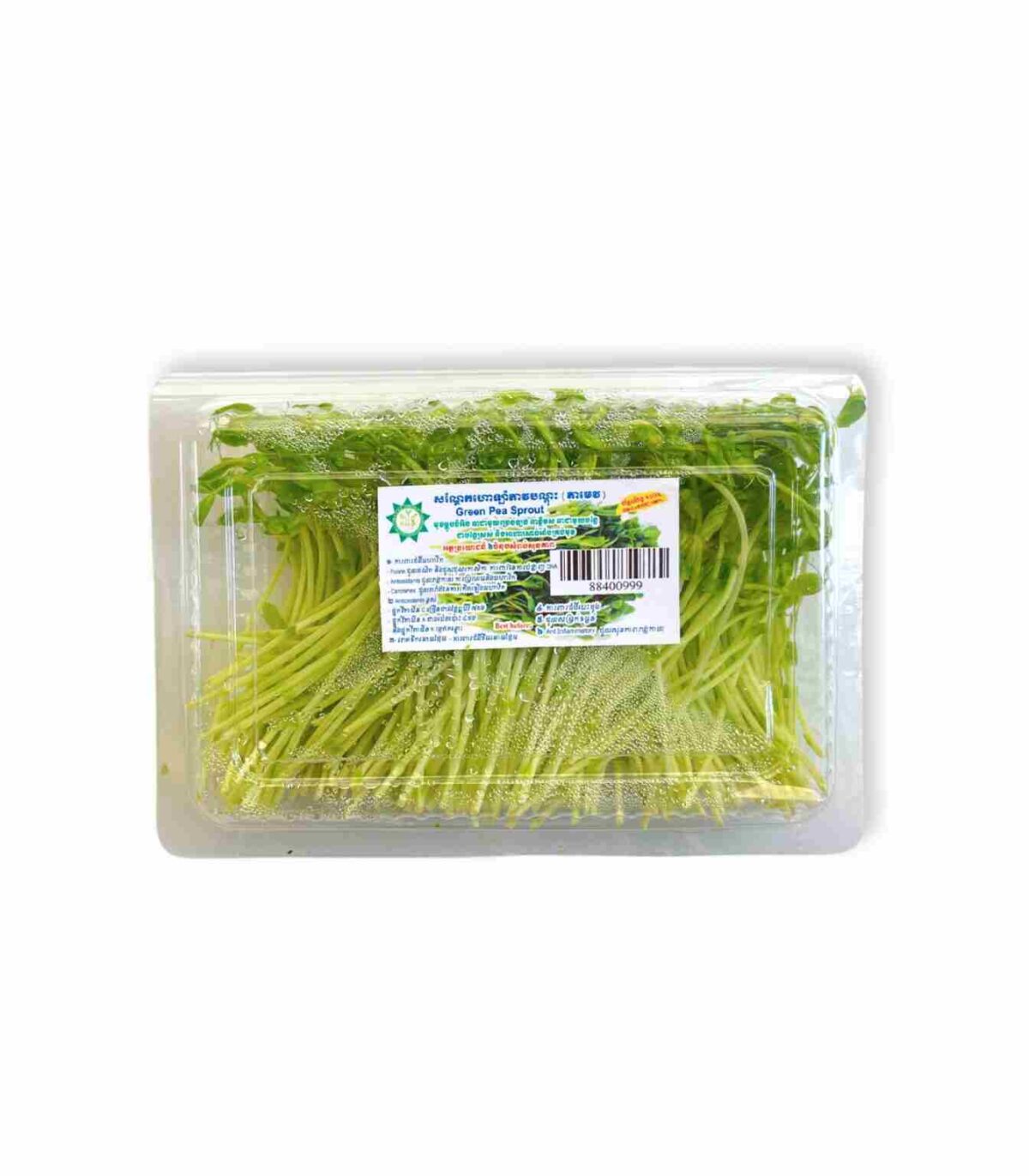 豆苗 100g (プノンペン) - 画像 (1)