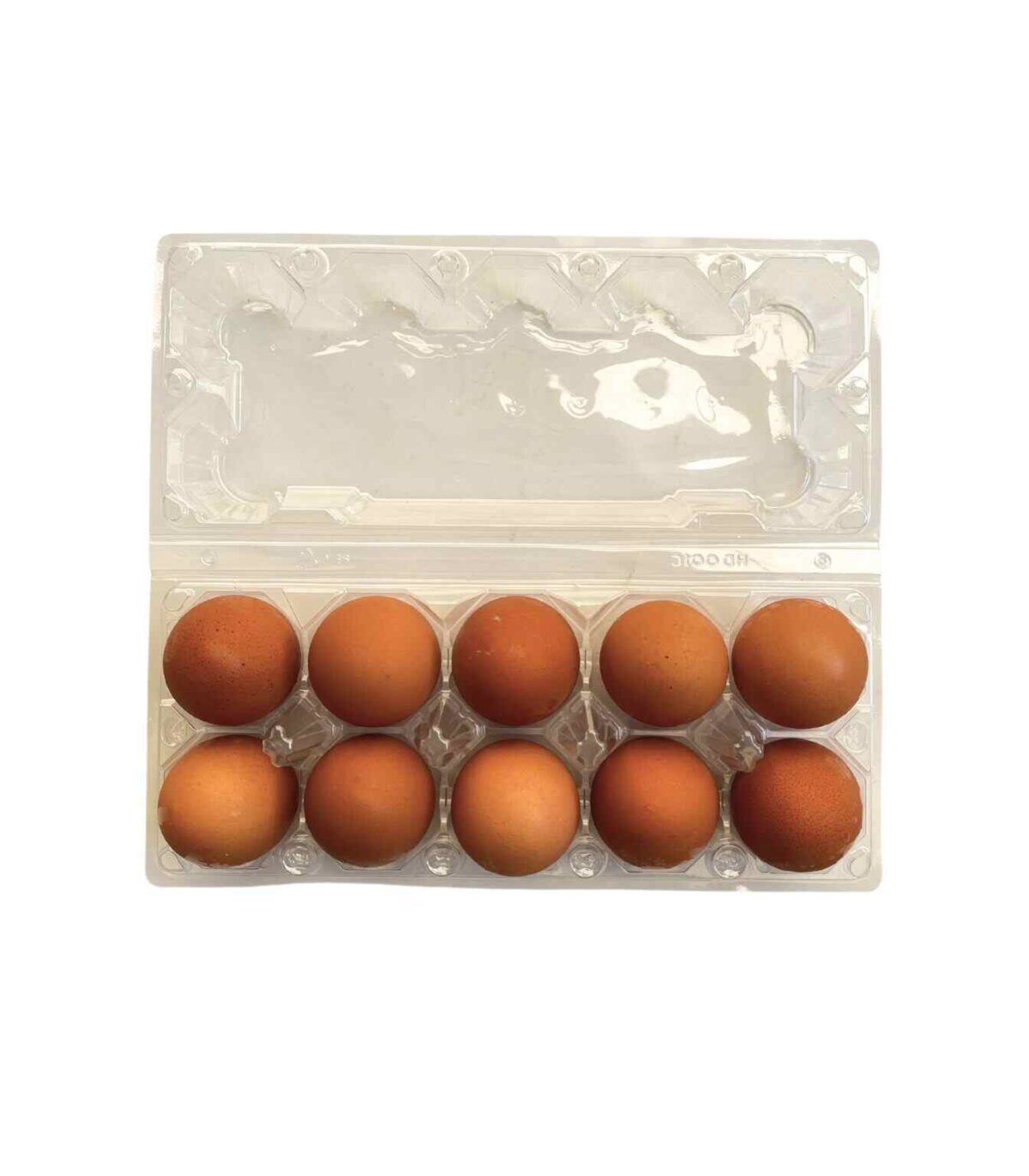 卵（Table Egg） 10個 (コンポンスプー) - 画像 (1)