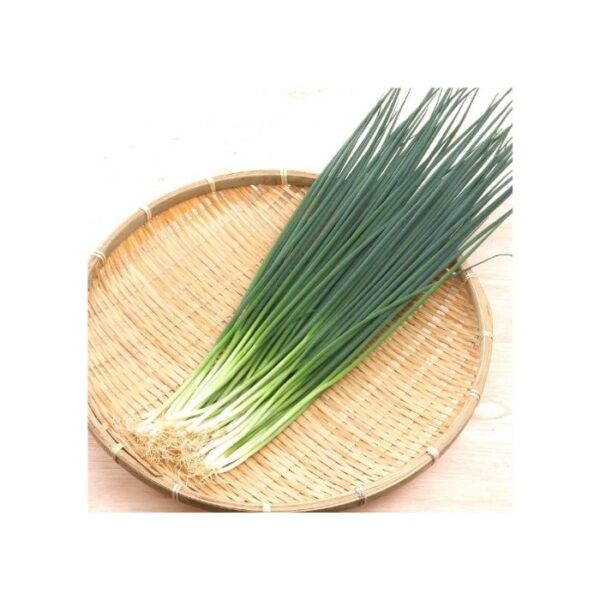 青ネギ 100g (スヴァイリエン)